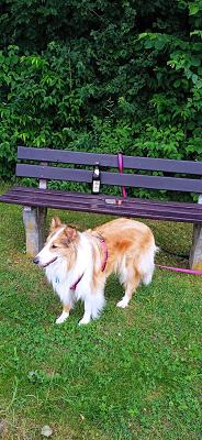 Alb-Donau-Fahrschule