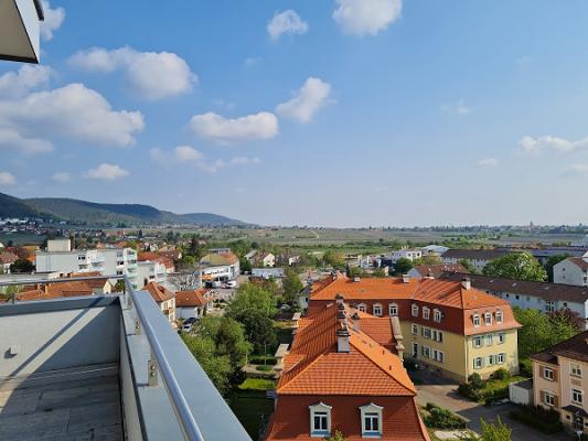 M-A-U-S Erste Hilfe Kurse - Neustadt an der Weinstraße