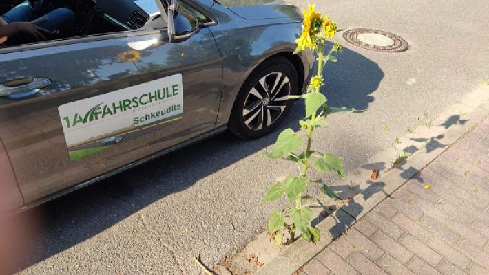 1A Fahrschule - LKW-, Motorrad Führerschein und mehr