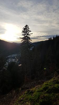 ´abgefahren´ Fahrschule St.Blasien