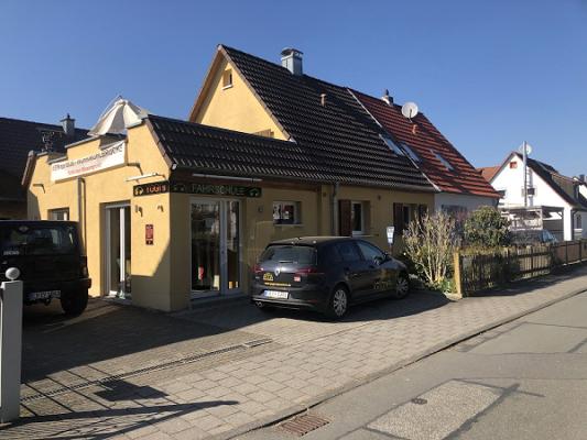 Yogi's Fahrschule