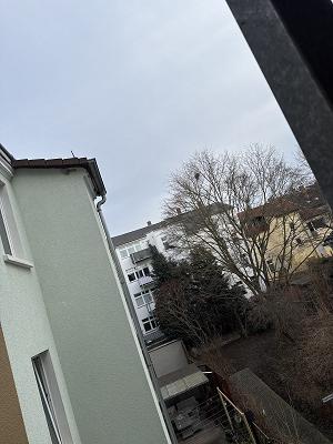 683454c286cf7