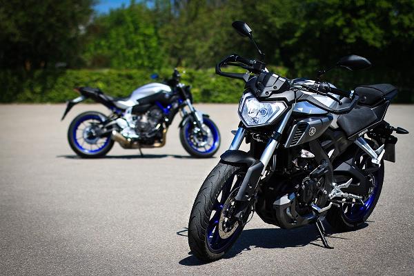 Fahrschule Dallhammer Meitingen