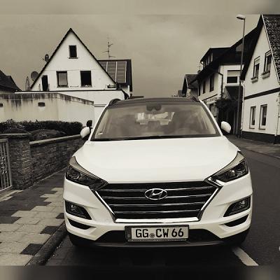 Fahrschule Wember Inh: Carina Wember