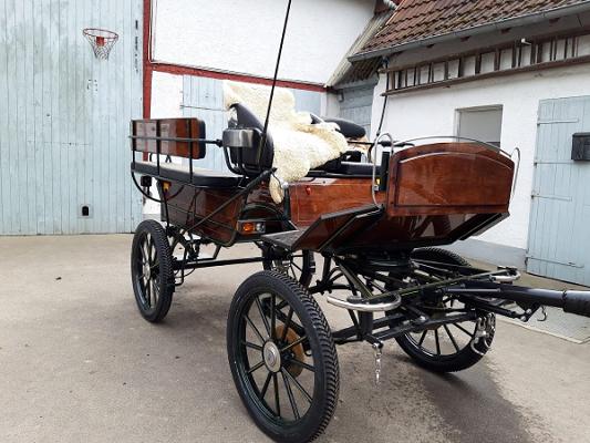 Claudia Christoph Pferdebetrieb FN - Fahrschule FN**