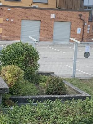 Signal Die Junge Fahrschule GmbH