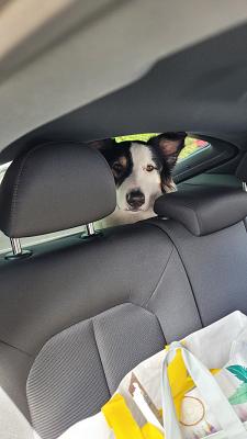 Fahrschule - Bock auf Fahren Inh. Markus Haase