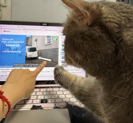 Fahrschule Bleier Inh. Patrick Noe