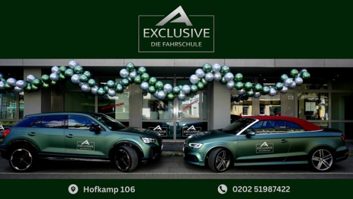 EXCLUSIVE - Die Fahrschule