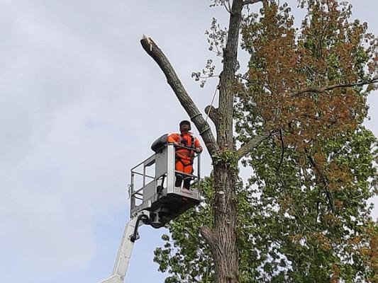 Deula Rheinland GmbH