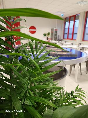 Jürgen's Fahrschule GmbH