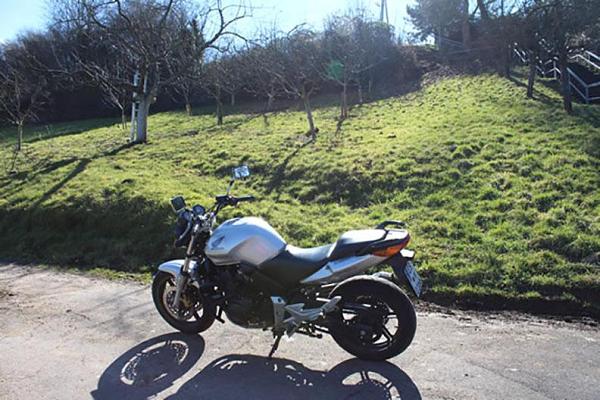 Fahrschule Oro Oronzo Volpicella