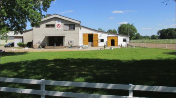 Reit- und Fahrschule für Kellinghusen und Umgegend e.V.