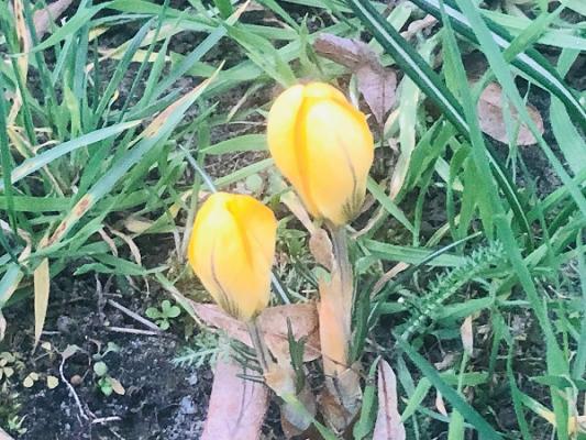 Fahrschule Peter Langkau