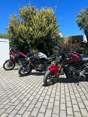 Fahrschule Dark Bull Kölleda und Umgebung