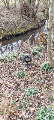 Chicco's Zabergäu-Fahrschule