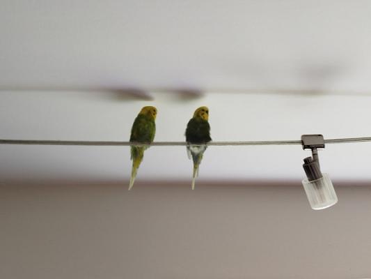 Schumis Fahrschule Inh. Gotthard Schumacher